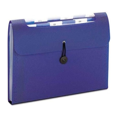 Smead Smead Step Index Organizer, 12-Pocket, Letter, Poly, Navy 70902